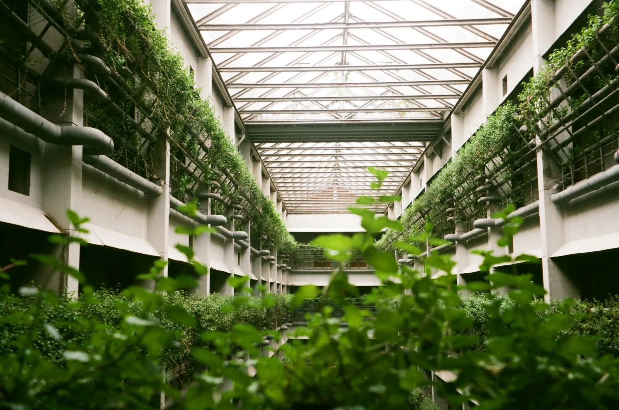Glass-roofed atrium with planted galleries